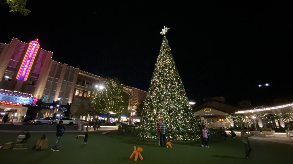 🎄 𝗔 𝗖𝗵𝗿𝗶𝘀𝘁𝗺𝗮𝘀 𝗖𝗲𝗹𝗲𝗯𝗿𝗮𝘁𝗶𝗼𝗻 𝗶𝗻 𝗧𝗵𝗲 𝗪𝗼𝗼𝗱𝗹𝗮𝗻𝗱𝘀 